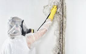 Forensic Mold Investigation in North Liberty, IN